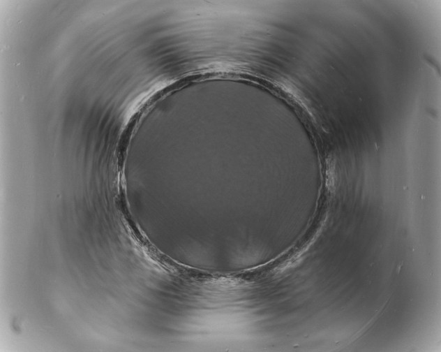 X0000102231117200808151722
