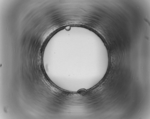 X0000102231119200808151722