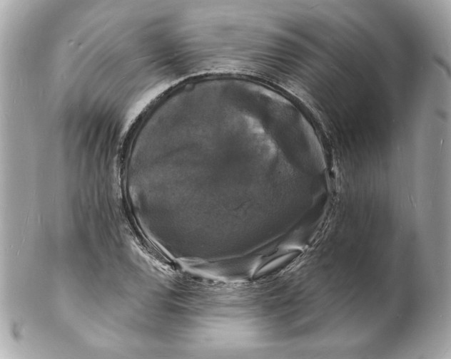 X0000102231120200808151722