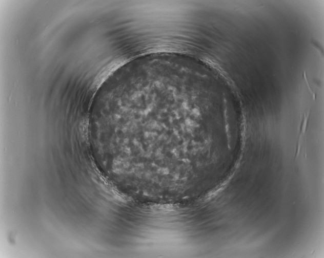 X0000102231121200808151722