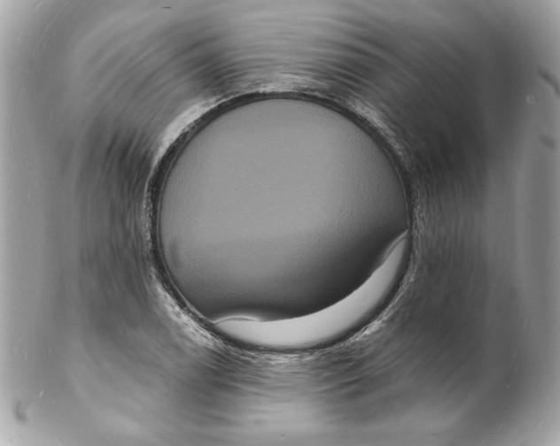 X0000102231122200808151722