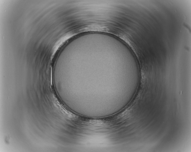 X0000102231123200808151722