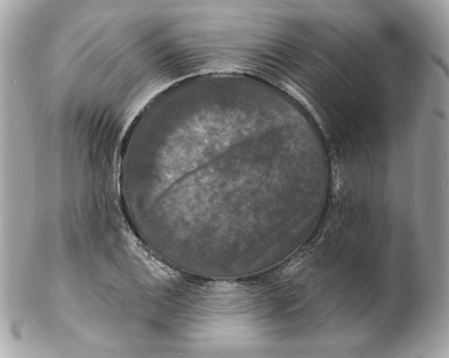 X0000102231124200808151722