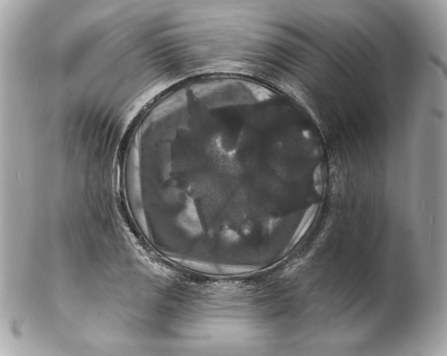 X0000102231125200808151722
