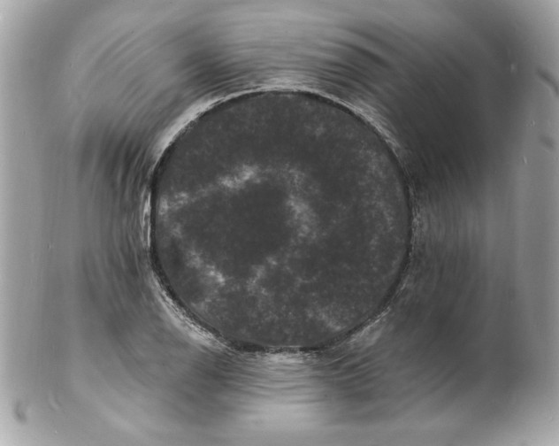 X0000102231126200808151722