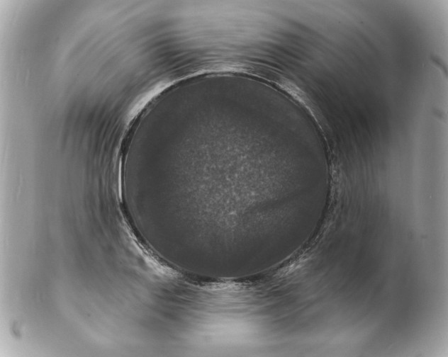 X0000102231127200808151722