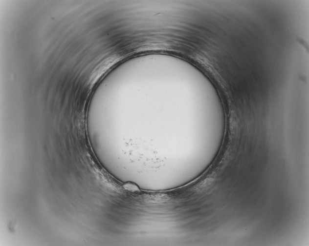 X0000102231129200808151722