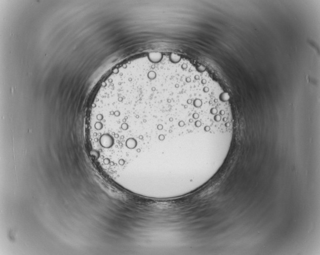 X0000102231130200808151722