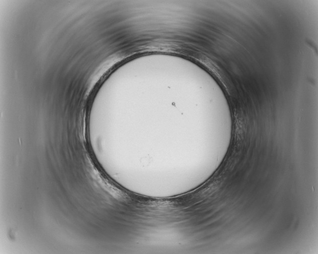 X0000102231131200808151723