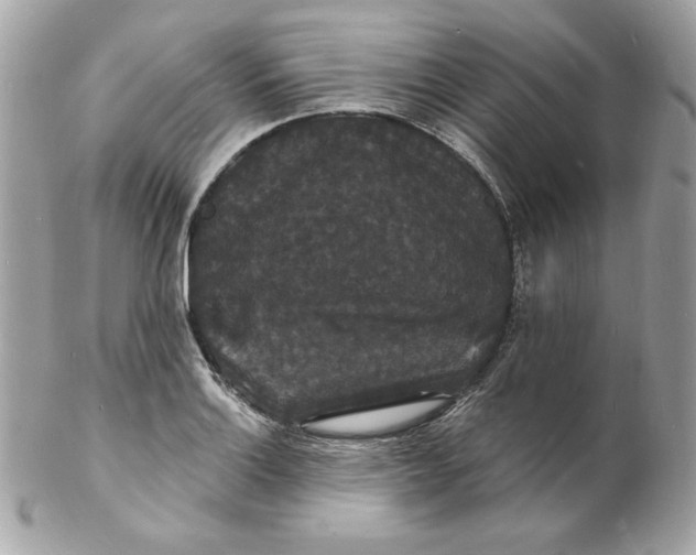 X0000102231132200808151723