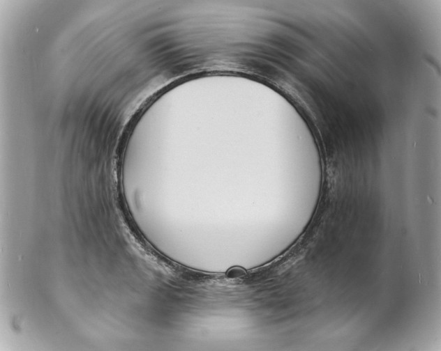 X0000102231133200808151723