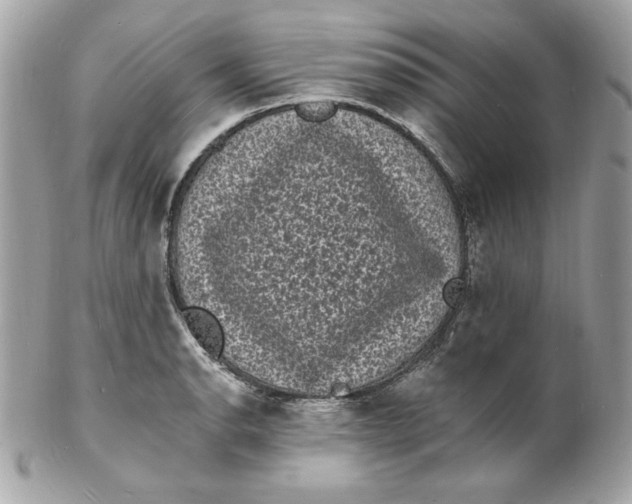 X0000102231134200808151723
