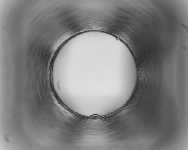 X0000102231135200808151723