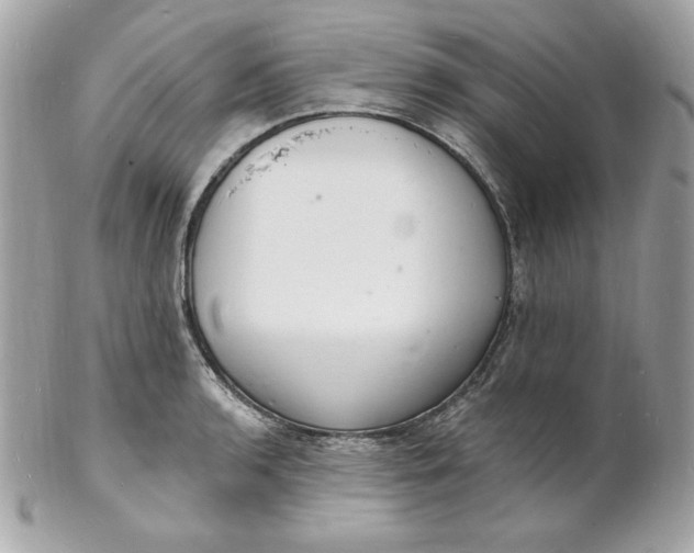 X0000102231136200808151723