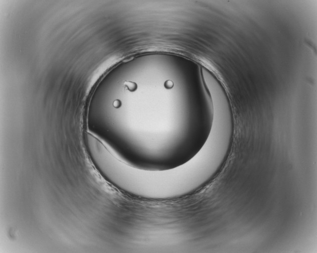 X0000102231138200808151723