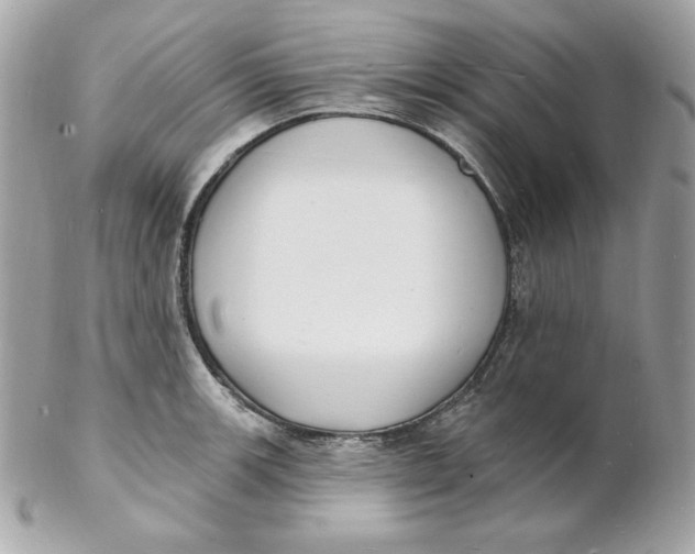 X0000102231139200808151723