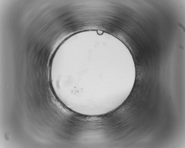 X0000102231140200808151723