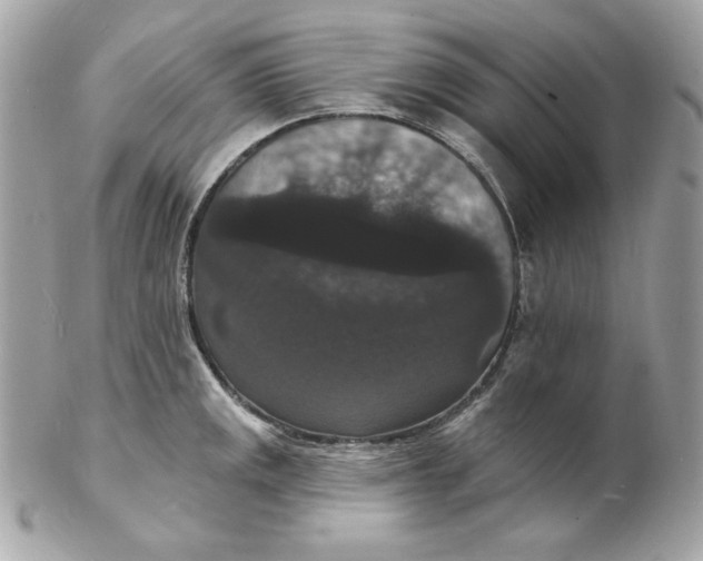X0000102231141200808151723
