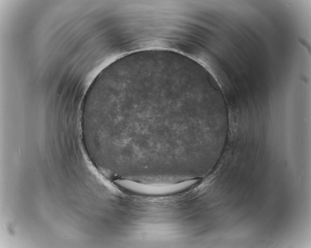 X0000102231142200808151723