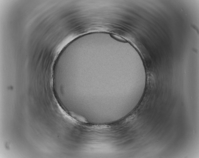 X0000102231143200808151723