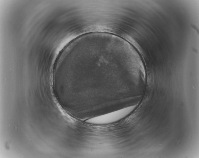 X0000102231144200808151723