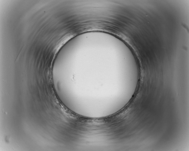 X0000102231145200808151723