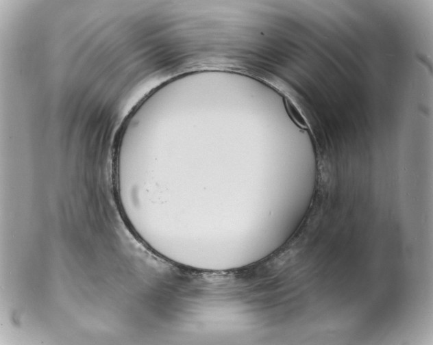 X0000102231147200808151723