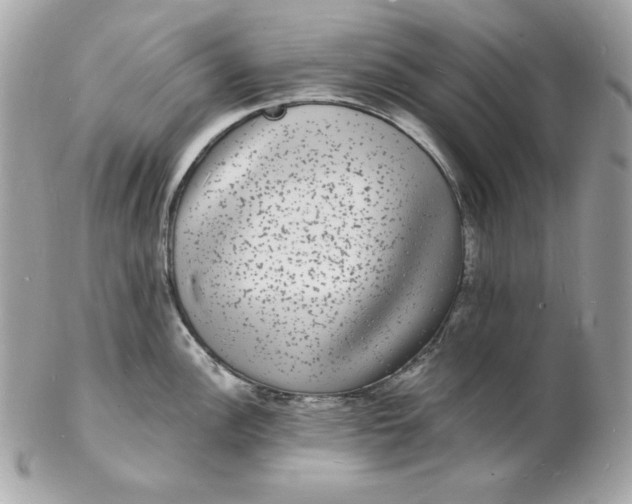 X0000102231148200808151723