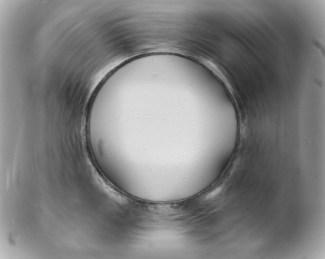 X0000102231149200808151723