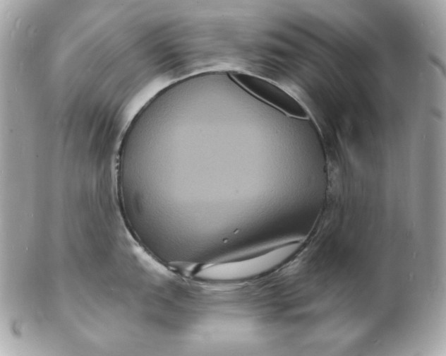X0000102231151200808151723