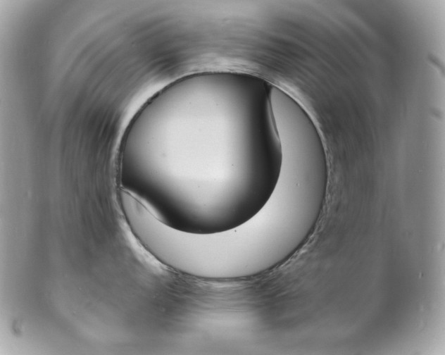 X0000102231152200808151723