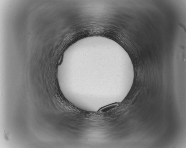 X0000102231153200808151722