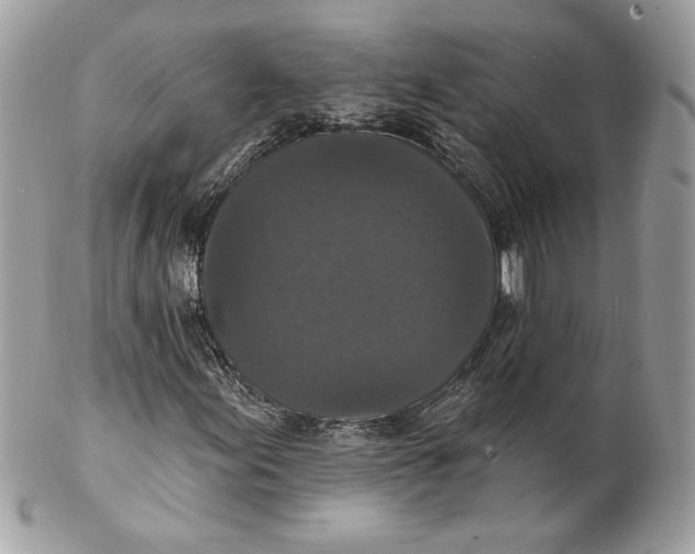 X0000102231155200808151722