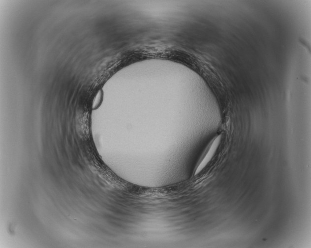 X0000102231156200808151722