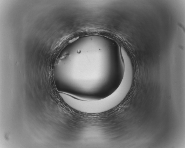 X0000102231157200808151722