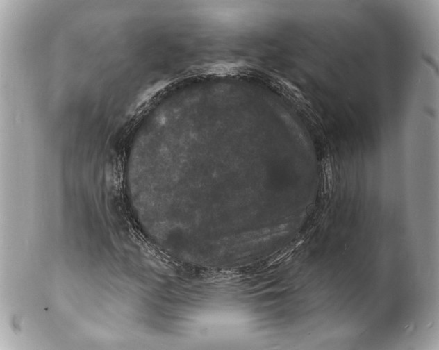 X0000102231158200808151722