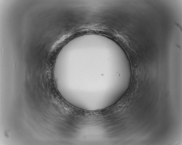 X0000102231159200808151722