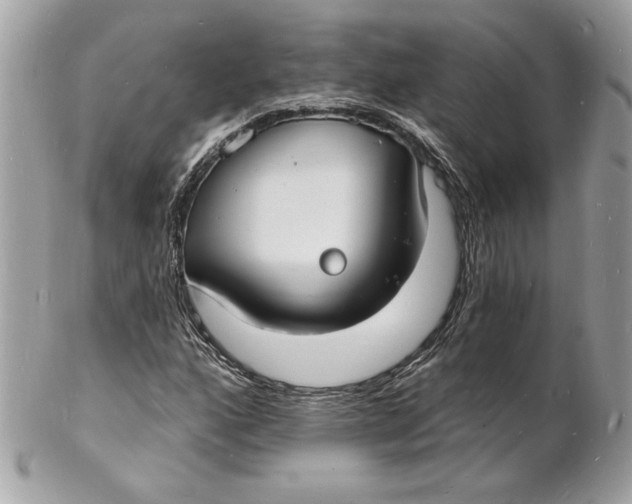 X0000102231160200808151722