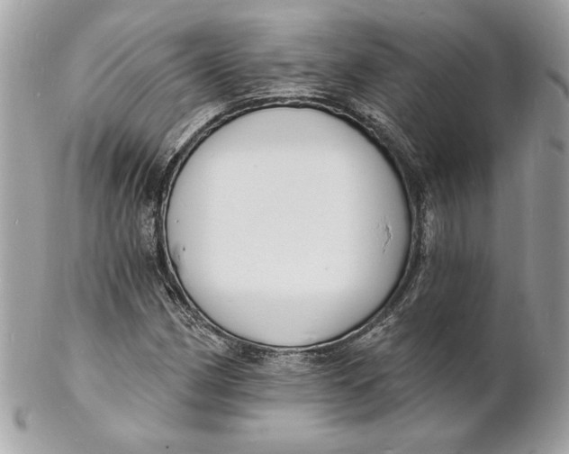 X0000102231162200808151722