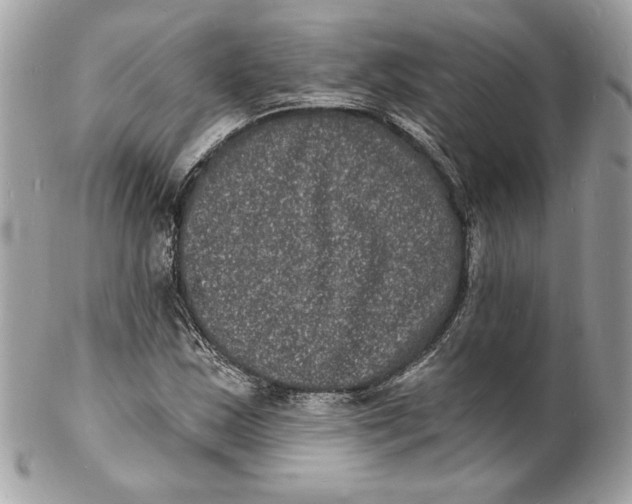 X0000102231163200808151722