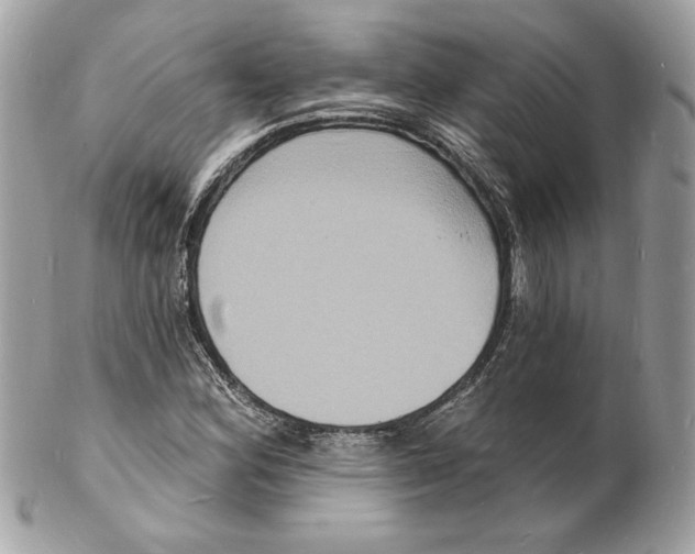 X0000102231164200808151722