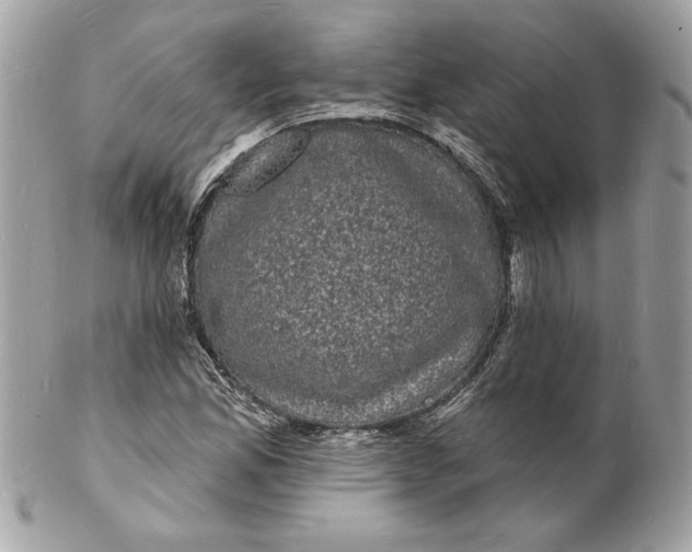 X0000102231165200808151722