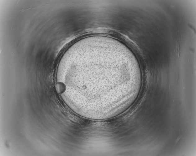 X0000102231166200808151722