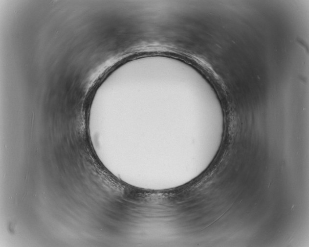 X0000102231167200808151722