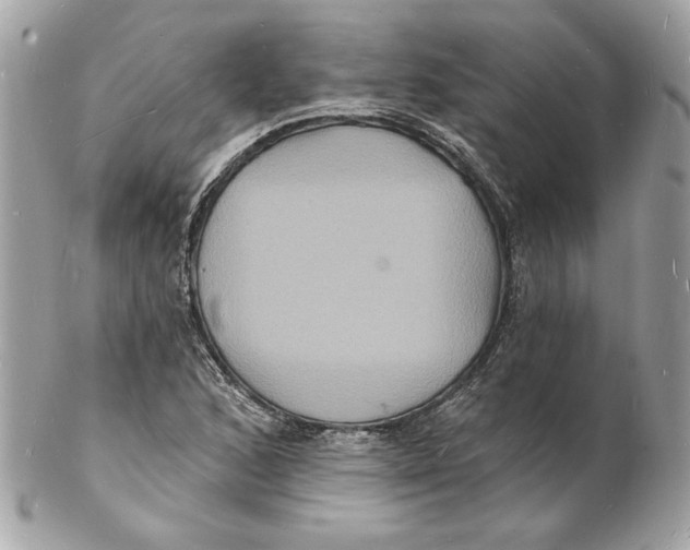 X0000102231168200808151722