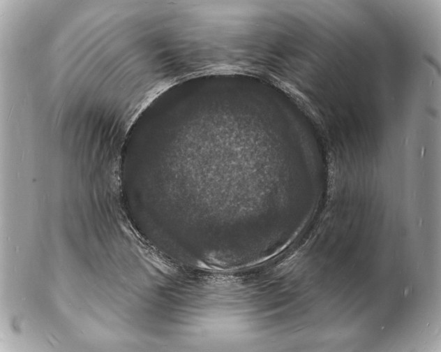 X0000102231170200808151722