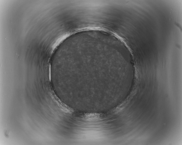 X0000102231171200808151722