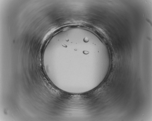 X0000102231172200808151722