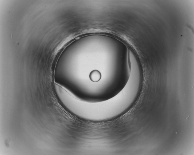 X0000102231173200808151722