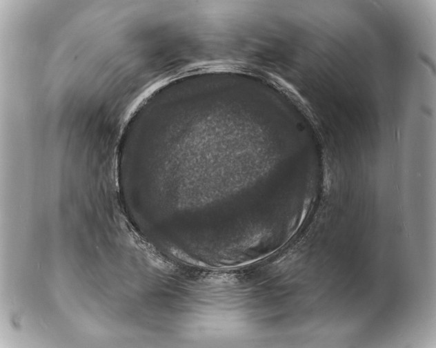 X0000102231174200808151722
